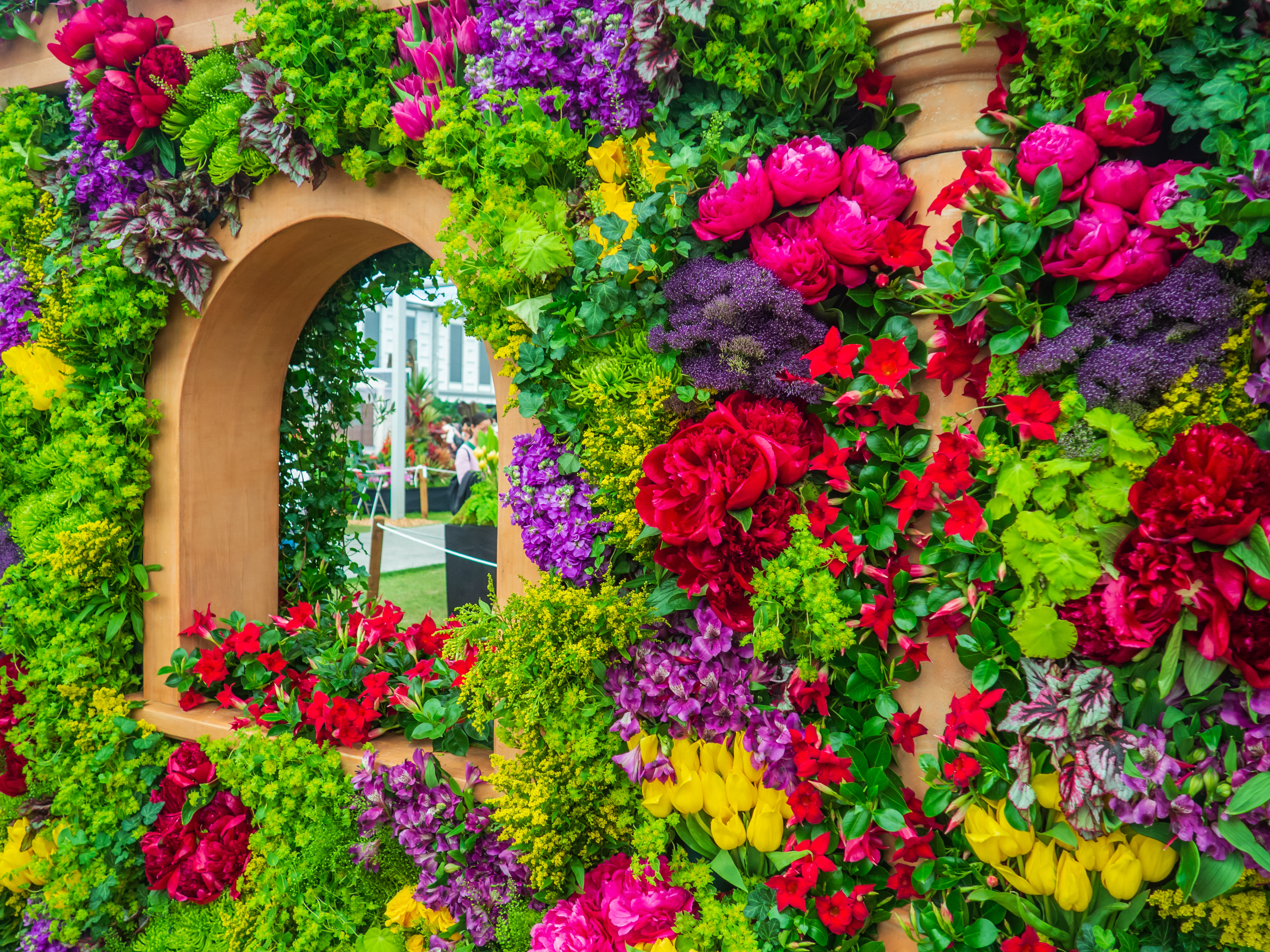 Chelsea Flower Show NGCA